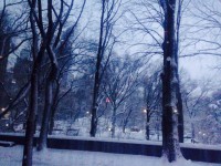 /album/fotogalerie/foto-3-jpg/